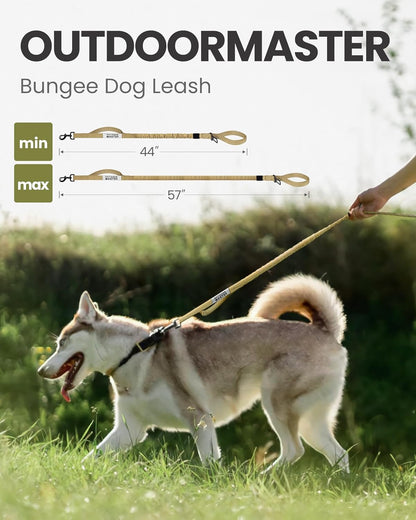 Heavy-Duty Bungee Dog Leash with Shock Absorption Technology