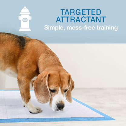 Wee-Wee Premium Performance Dog Training Pads, 200 Count