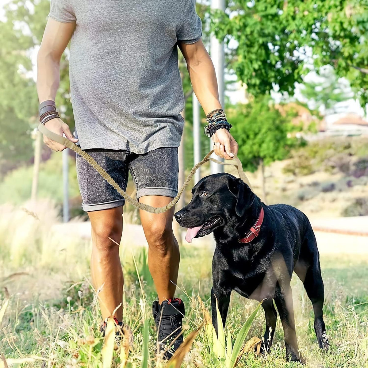 Heavy-Duty Bungee Dog Leash with Shock Absorption Technology